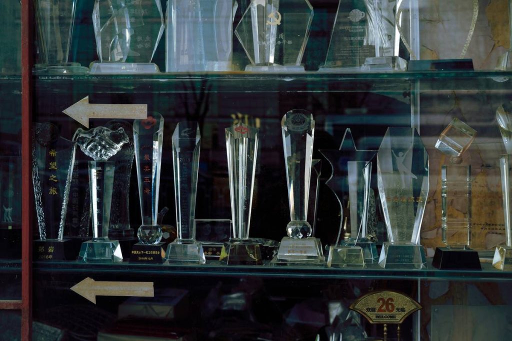 Display Cases for Awards: How to Showcase Your Hard-Earned Trophies Without Looking Like a Trophy Hoarder