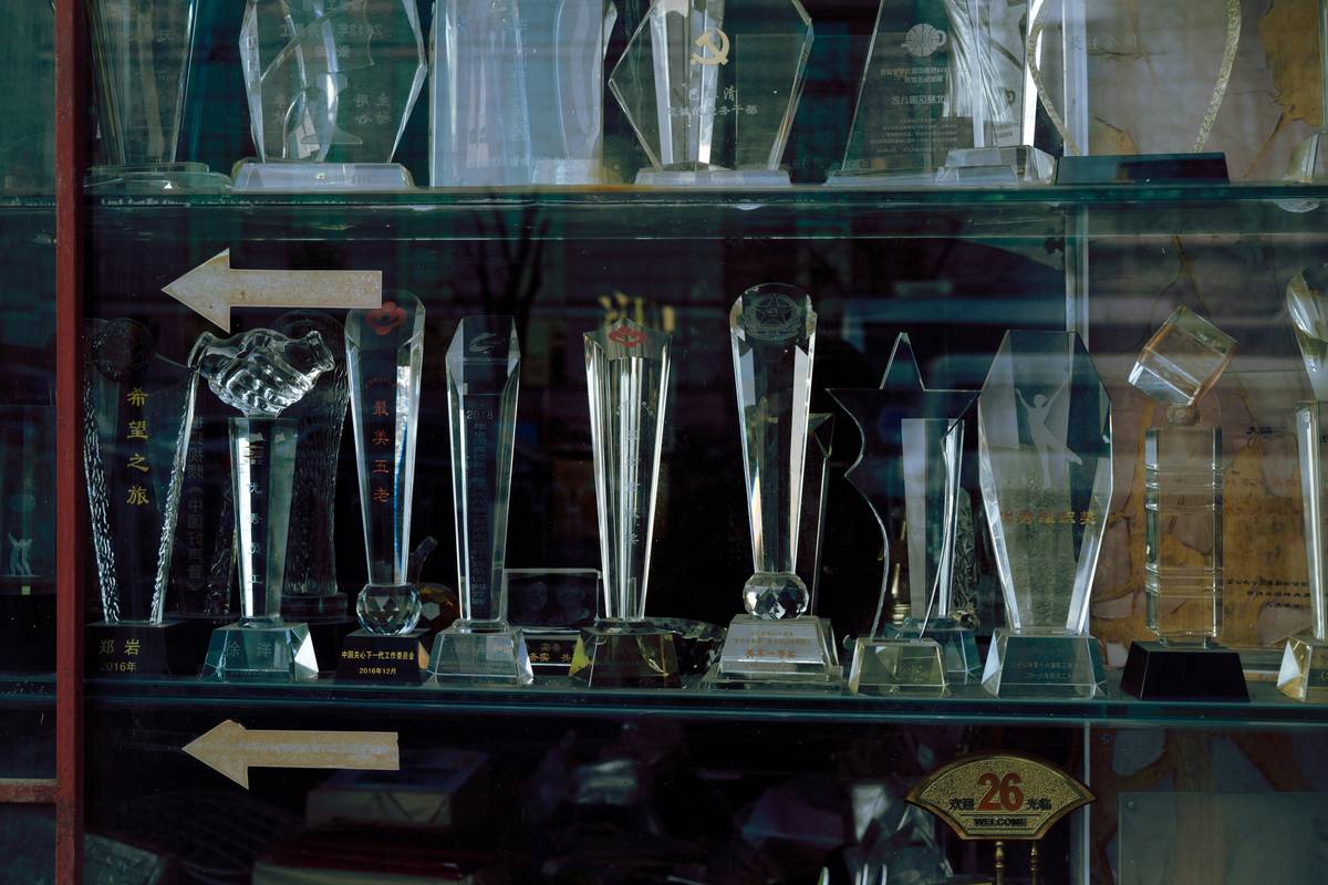Display Cases for Awards: How to Showcase Your Hard-Earned Trophies Without Looking Like a Trophy Hoarder
