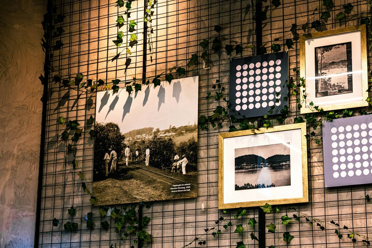 Display Ideas for Family Reunion: Preserve Memories Without Cluttering Your Home